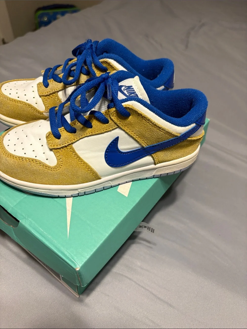 Nike sb zoom